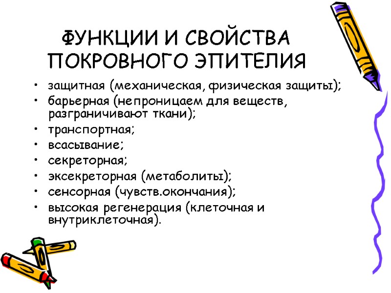 ФУНКЦИИ И СВОЙСТВА ПОКРОВНОГО ЭПИТЕЛИЯ защитная (механическая, физическая защиты); барьерная (непроницаем для веществ, разграничивают